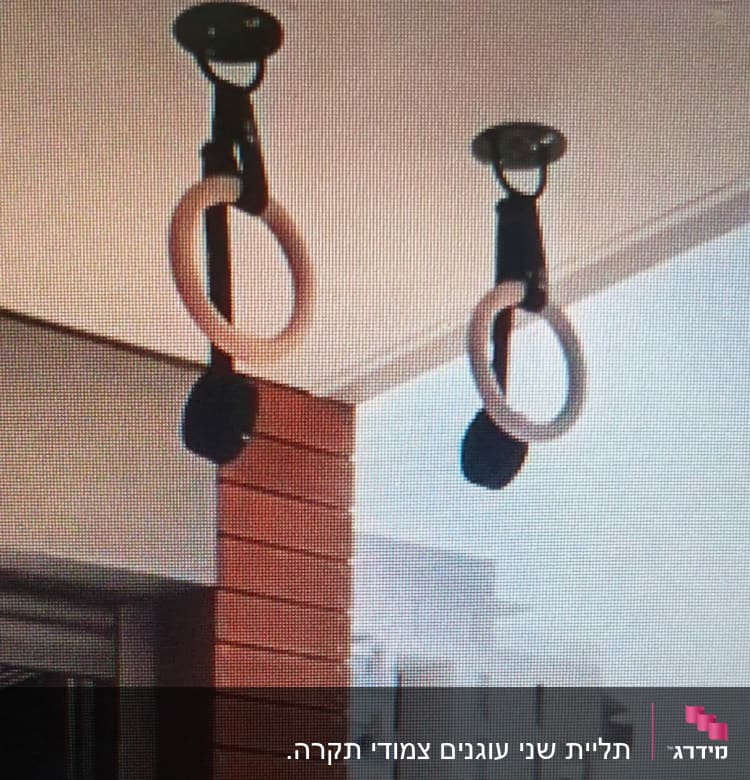 טבעות התעמלות תלויות מהתקרה עם מתלים